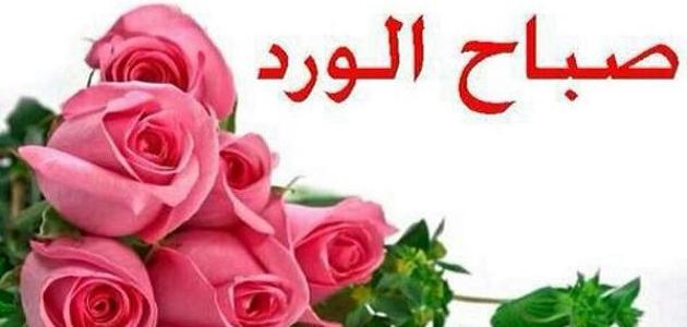 صباح نور - عبارات صباحيه جميله 4043 8