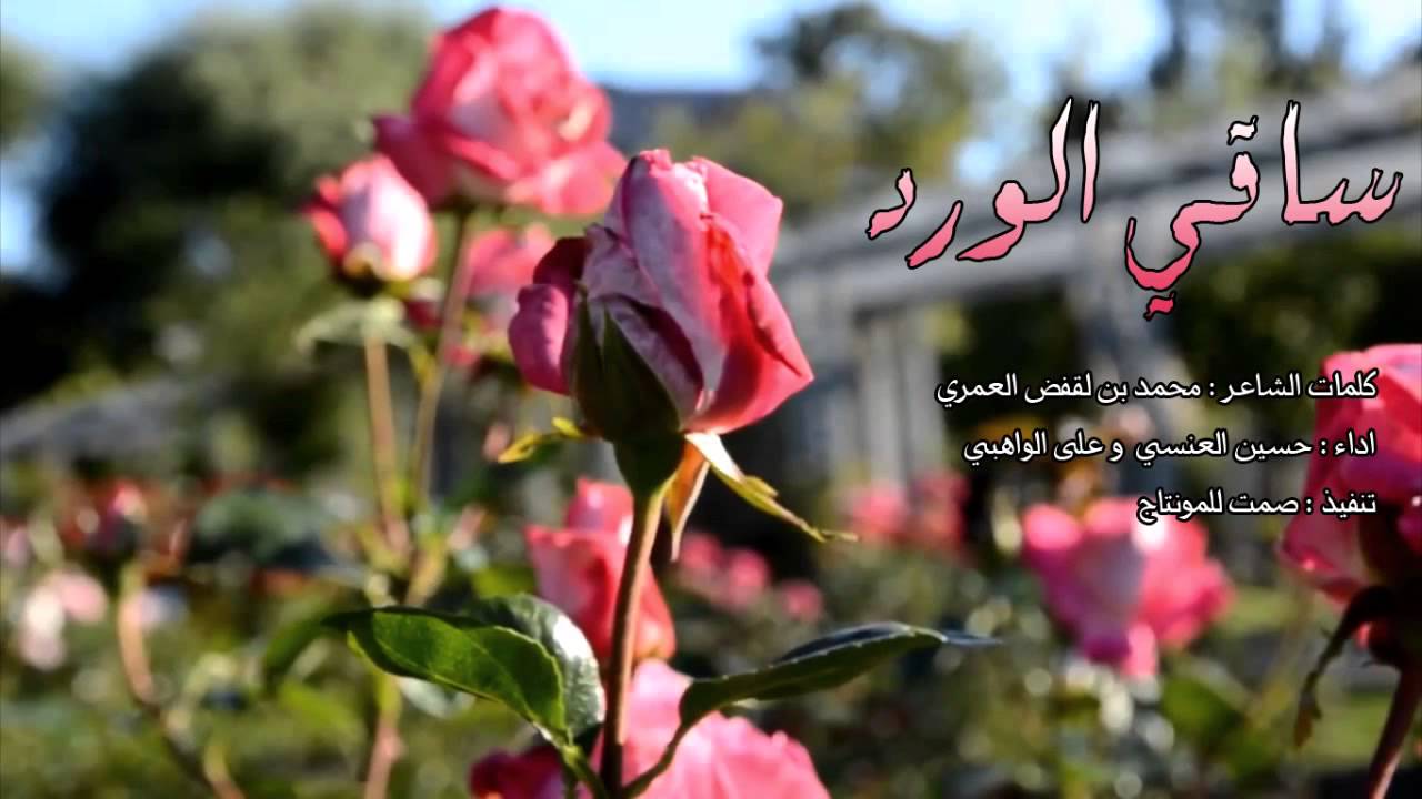 حكم عن الورد - اجمل ماقيل عن الورد 1632 11