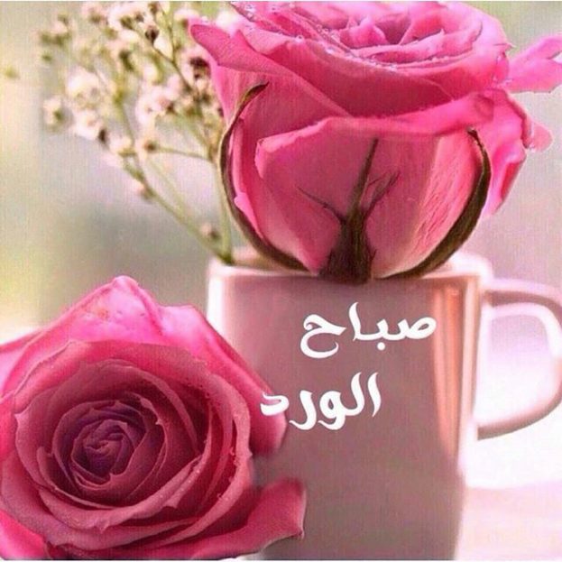 صورصباح الخير - صبح على حبيبك بصور حلوة 546 18