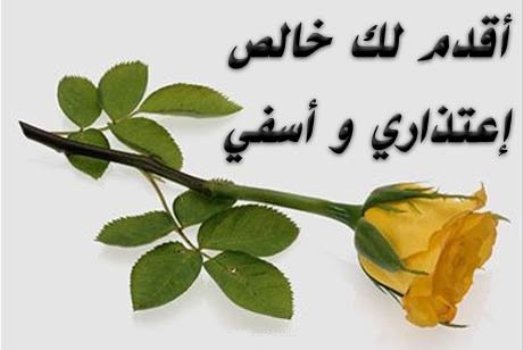 اعتذار لصديق غالي 12975 3