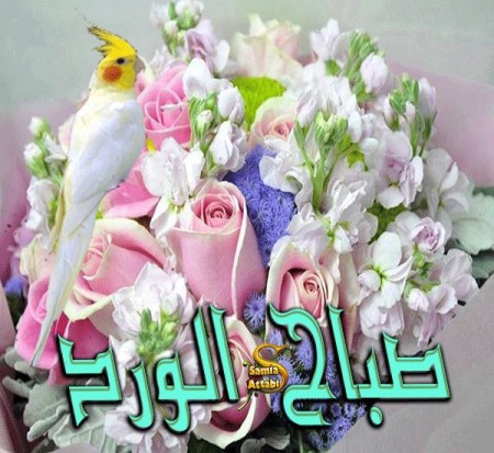 صور صباح خير - اروع صور صباح الخير 5765 3