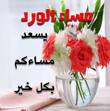 صور صباح ومساء - اجمل الرسائل الصباحيه والمسائيه 3975 11