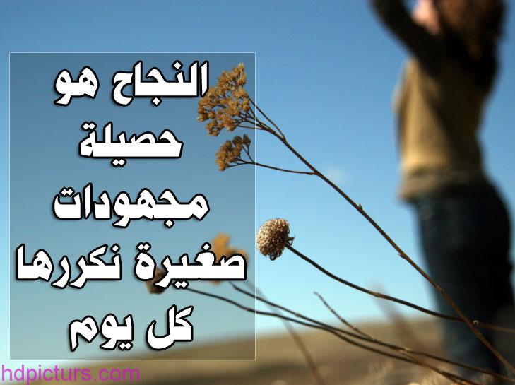 صور عن النجاح - صور معبره عن النجاح 3875 6