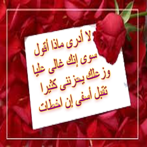 اعتذار لصديق غالي 12975