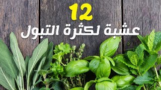 علاج كثرة التبول بالاعشاب , طريقة سريعة لعلاج كثرة التبول