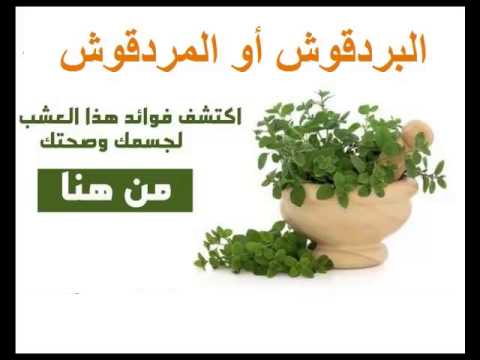 فوائد البردقوش - استخدام البردقوش وفوائده العامه 4978 7