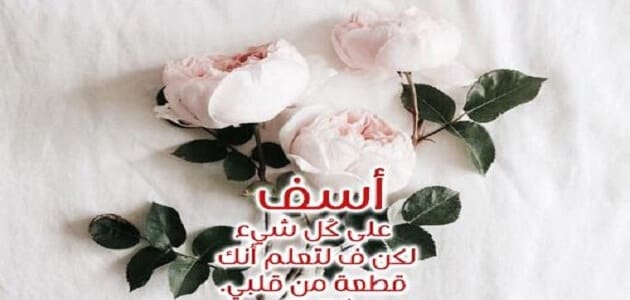 رسائل اعتذار للزوج 6660 2