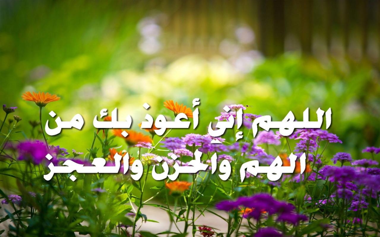 صور دينية جميلة - اجدد الادعية الدينية 6630 4