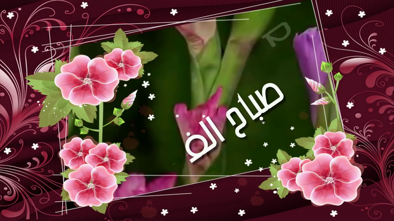 صورصباح الخير جديده - صباحيات فى صور معبرة 2930 9