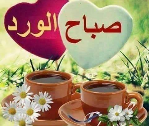 صباح الخير صور - صور صباح الخير الي تخليك تطير 6604 10