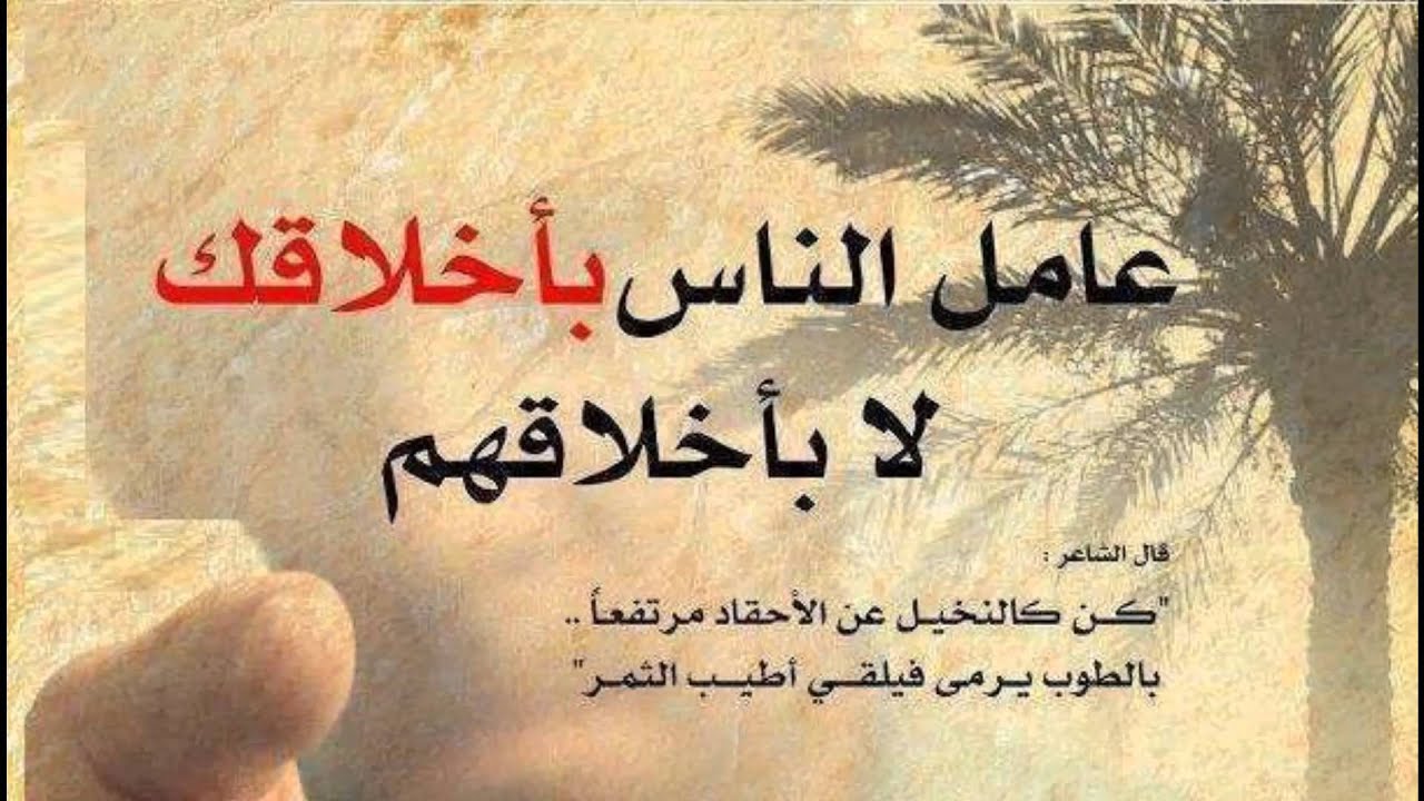 صور حكم ومواعظ - خذوا الحكمة من افواه المجانين 3581 6