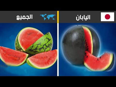 معلومات غريبة , اغرب معلومات تسمعها في حياتك