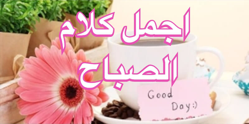 احلى كلمات صباح الخير صبحى على حبيبك - اجمل كلام صباح الخير 11915 3