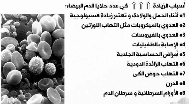 القضاء على ضغط الدم المرتفع - اسباب زيادة الدم 11973