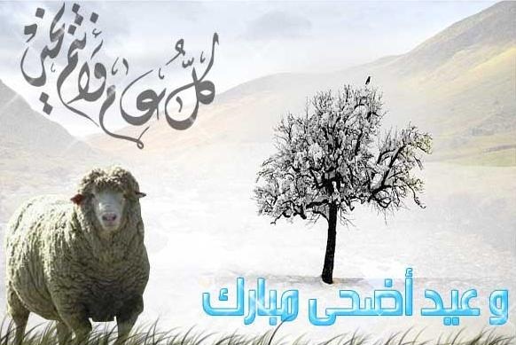 صورة العيد الكبير , العيد و صور التهنئة الرائعة