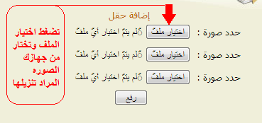 العملاق لتحميل الصور - طرق حفظ الصور الخاصة بك ورفعها علي العملاق 2349