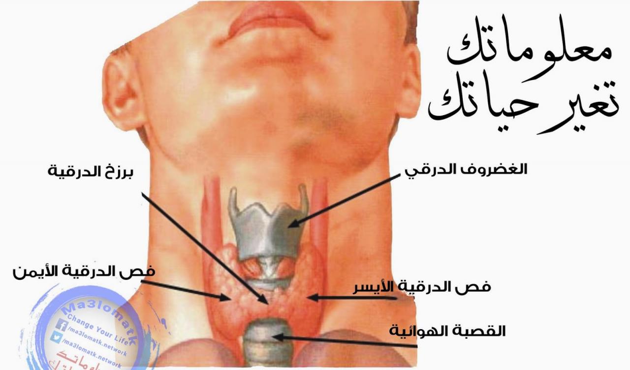 اعراض الغدة الدرقية