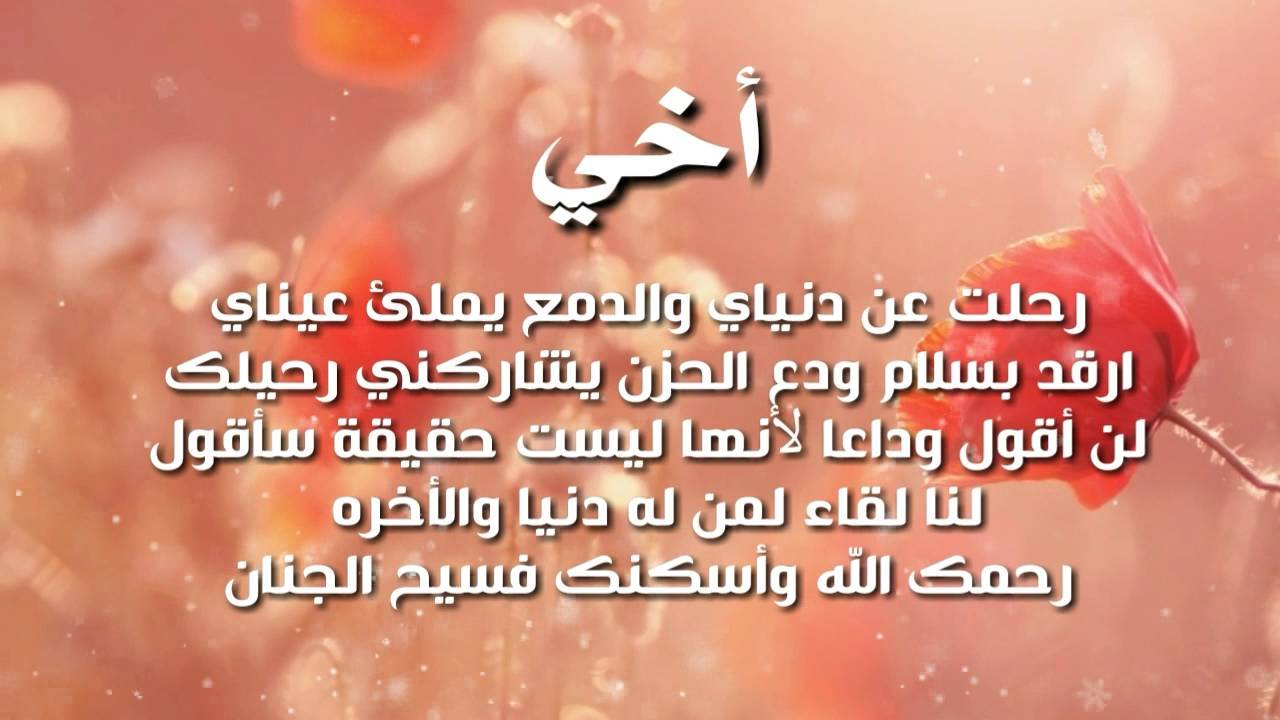 خواطر عن الاخ - احلى كلام عن حب الاخوات 1561 7