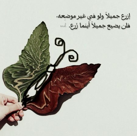 رمزيات حلوة - رمزيات انستقرام روعة 2019 263 2