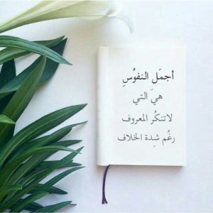 حالات واتس اب جديدة وحلوة - حالات واتس مجنونه 3874 11