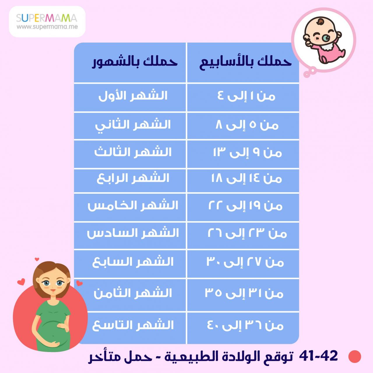 حساب الحمل بالاسابيع