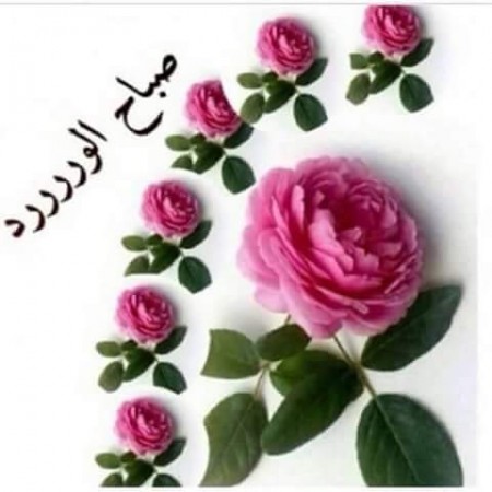 صور صباح خير - اروع صور صباح الخير 5765 7