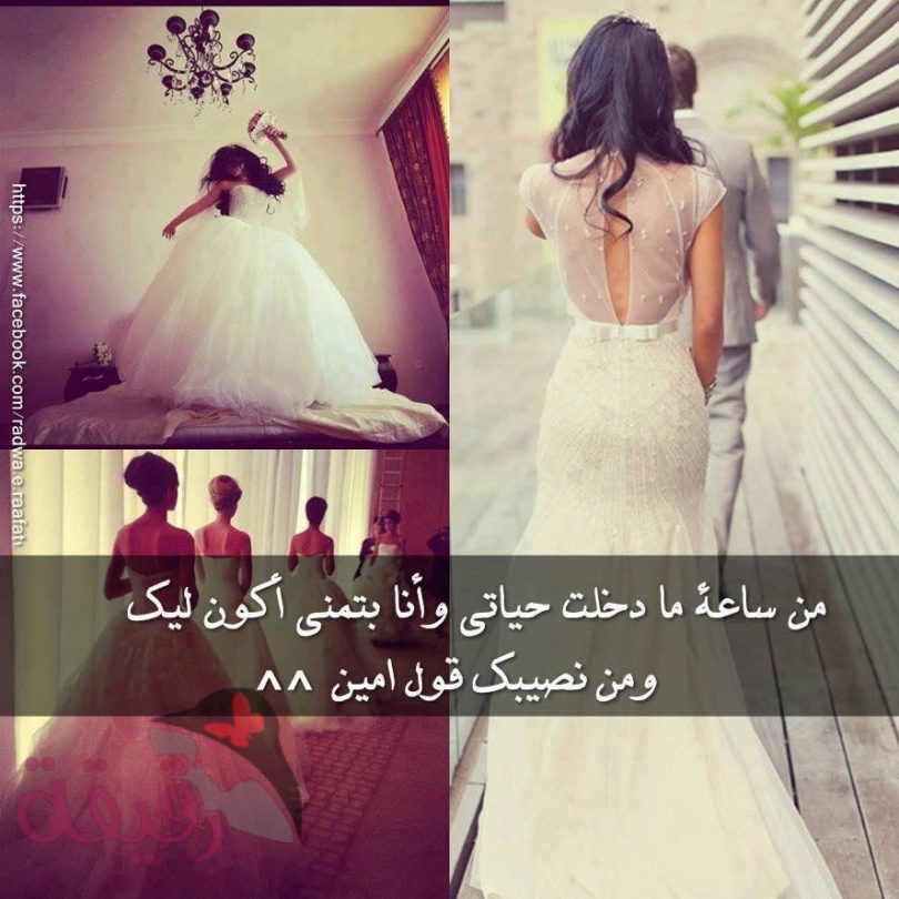 صور حب عشق - اجمل غراميات الحب والكلمات الراقيه 135 7