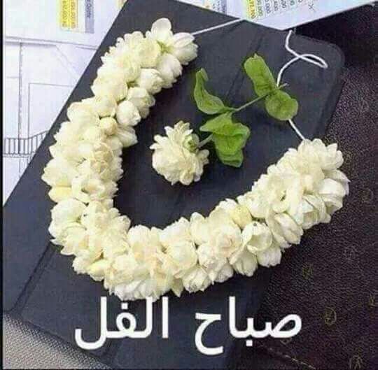 صور صباح الفل - ابدا يومك بصوره حلوه 693