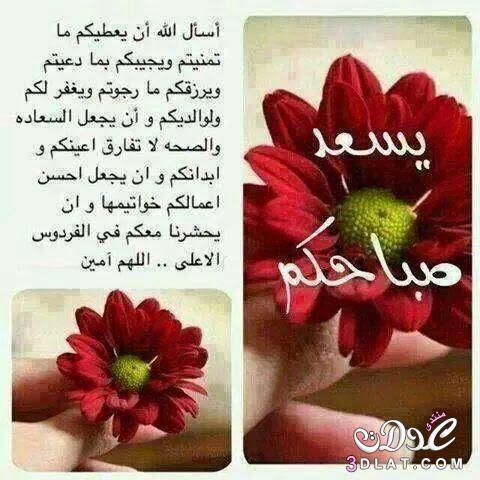 صور صباح ومساء - اجمل الرسائل الصباحيه والمسائيه 3975 8