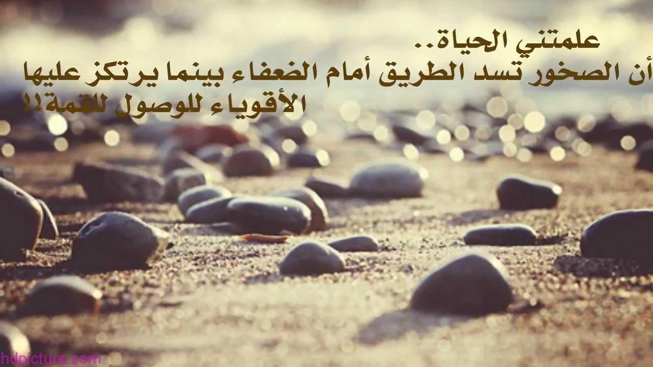 صور معبرة عن الحياة - اروع الحكم الماثوره والمؤثره عن الحياه 436 2