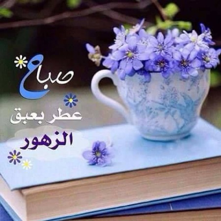 صور صباح خير - اروع صور صباح الخير 5765 2