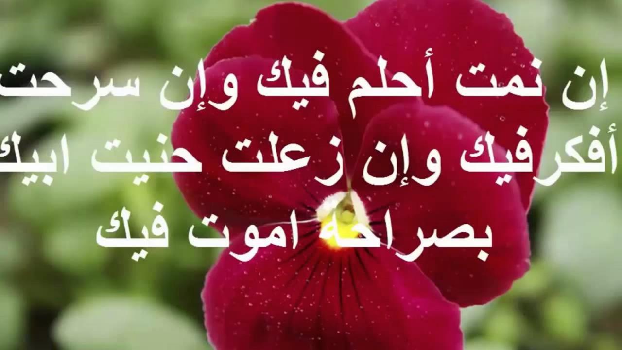 صور حب للحبيب - كلمات حب لرفيق العمر 2468 4