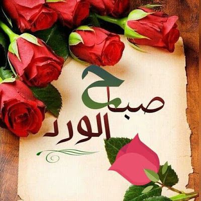 صور صباح الورد - اروع التحيات الصباحية 4418 4