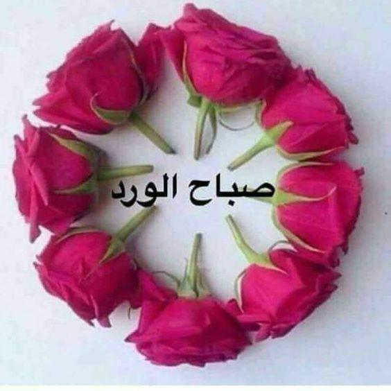 صباح الفل - رمزيات صباحيه جميله 684 11