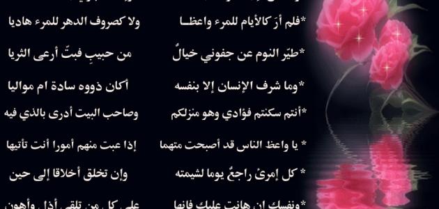 اجمل ابيات الشعر - اروع ابيات الشعر في الحب 3718 10