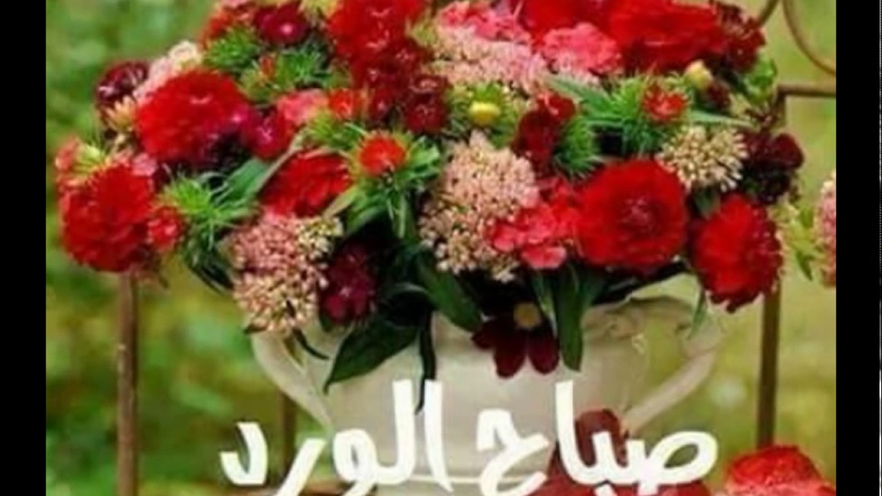 صور صباح ومساء , اجمل الرسائل الصباحيه والمسائيه