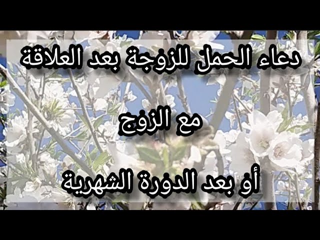 دعاء الحمل- اهم ادعيه للحمل 5194 1