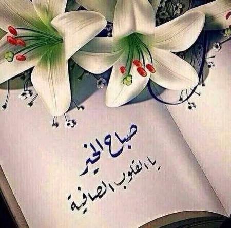 صور صباح خير - اروع صور صباح الخير 5765 6