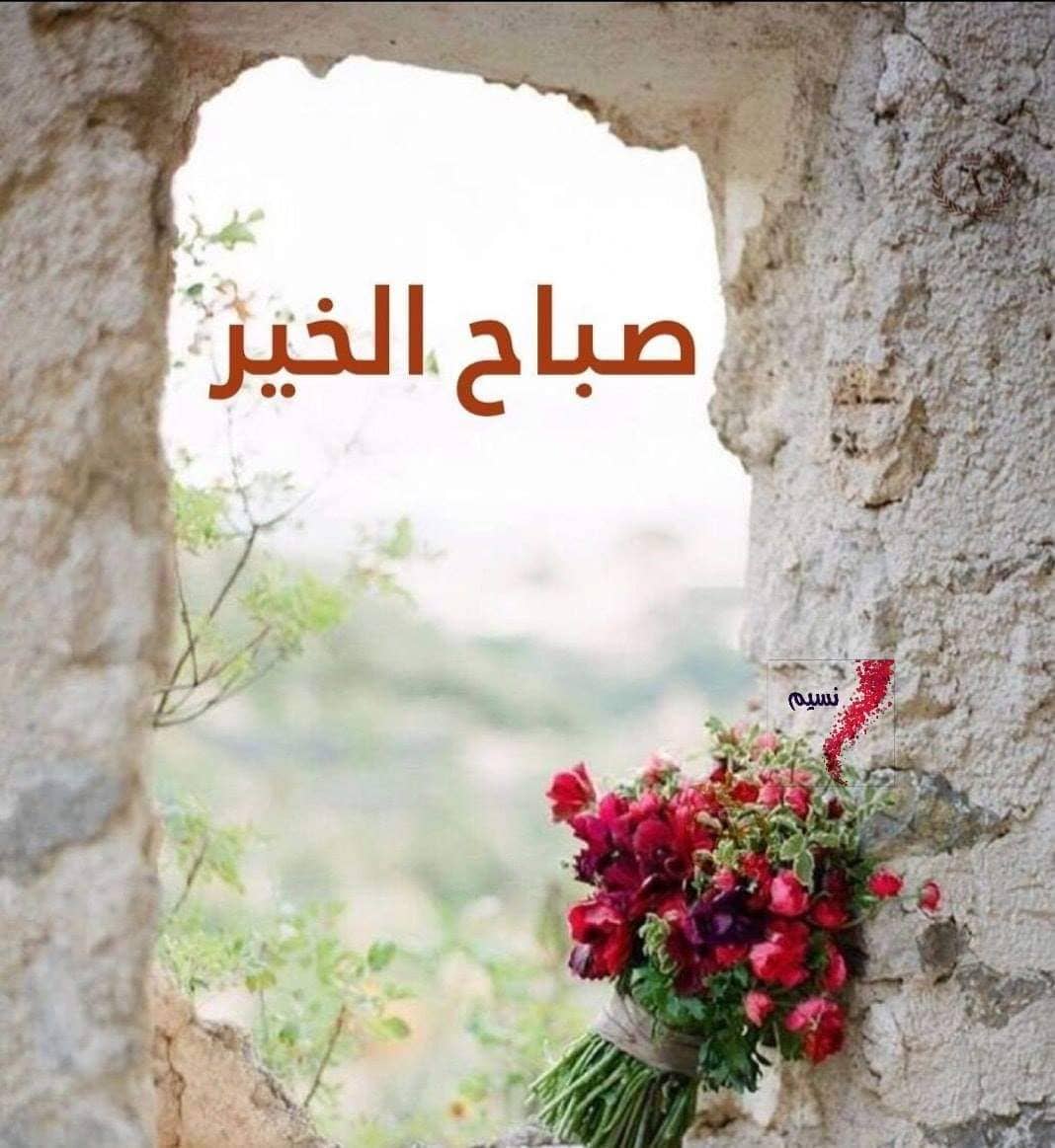 صور صباحيه جميله - اجمل صور النهار 3402 12