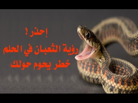 رؤية الثعبان في المنام وقتله - تفسير حلم الثعبان وقتله 2568 8