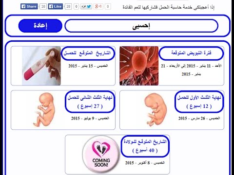 حاسبة الحمل بالاشهر - طريقة حساب اشهر الحمل 696 1