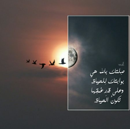 صور عرض حلوه - اجمل صور مكتوب عليها اجمل العبارات 1365 12