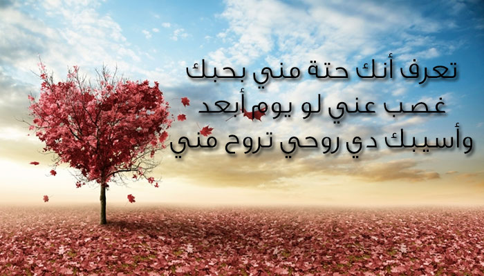 رسائل حب للزوج - اجمل كلام حب لزوجك 5265 2