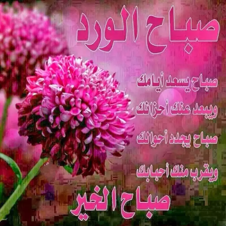 صور صباح الخير ومساء الخير - اروع صور التحية 4585