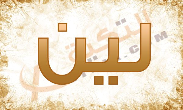 معنى اسم لين - معنى لين فى اللغة العربية 6454 4