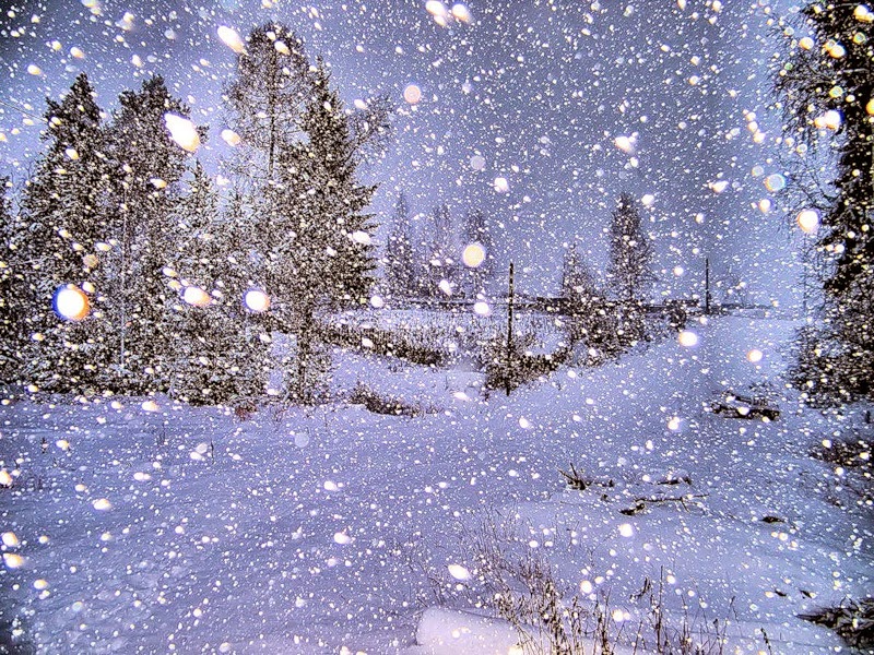 3180 10 صور فصل الشتاء - اجمل واجدد الصور للشتاء هنديه شقية