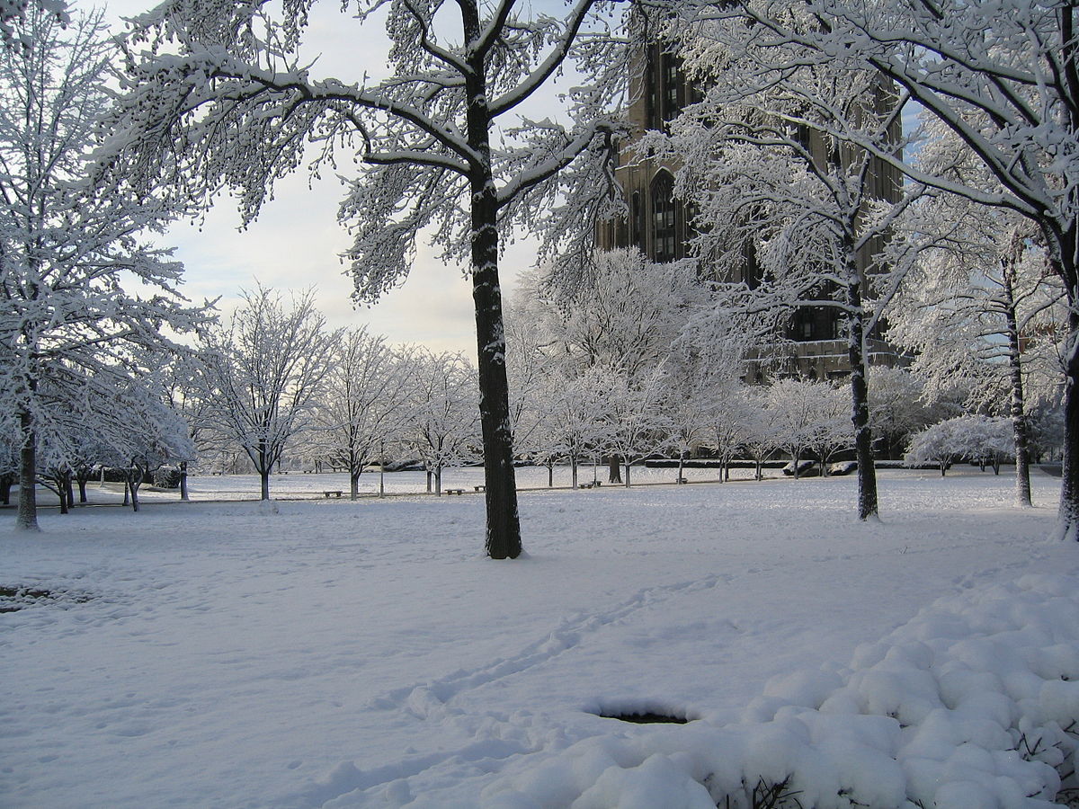 3180 2 صور فصل الشتاء - اجمل واجدد الصور للشتاء هنديه شقية
