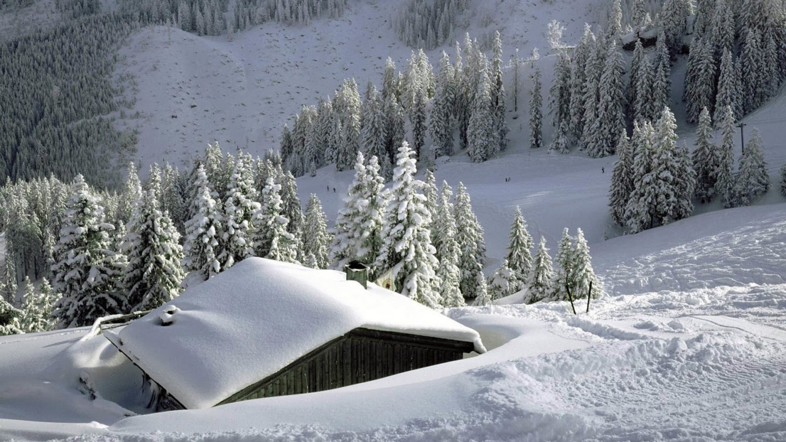 3180 3 صور فصل الشتاء - اجمل واجدد الصور للشتاء هنديه شقية