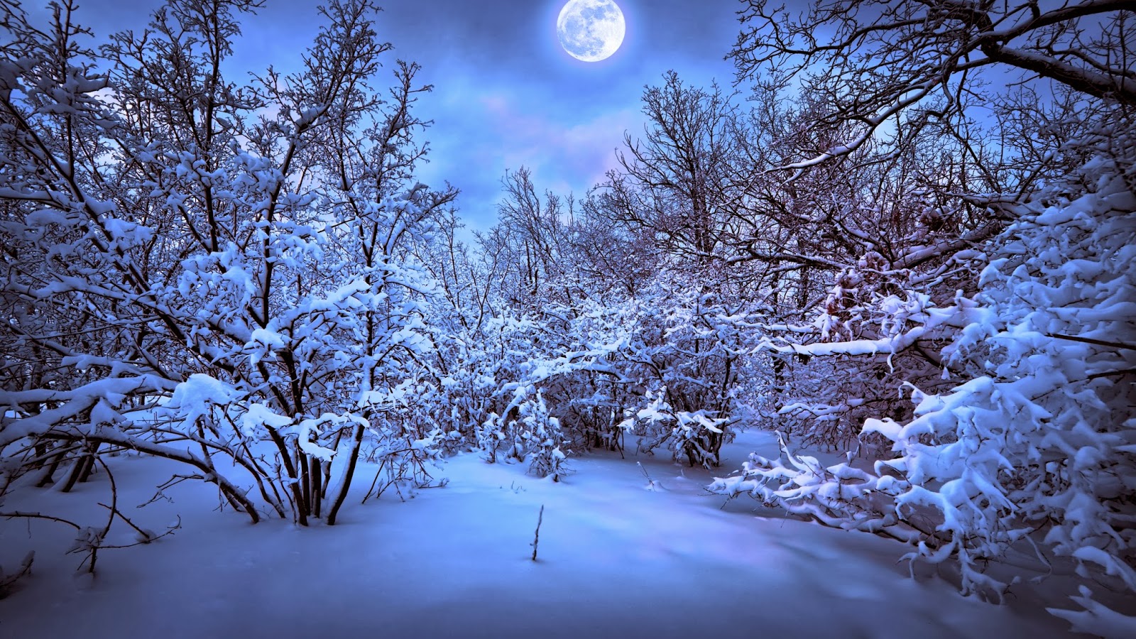 3180 4 صور فصل الشتاء - اجمل واجدد الصور للشتاء هنديه شقية