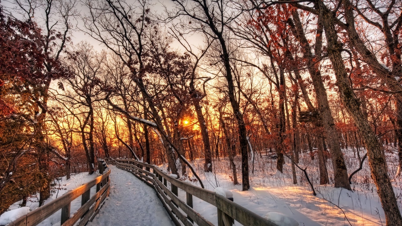 3180 5 صور فصل الشتاء - اجمل واجدد الصور للشتاء هنديه شقية